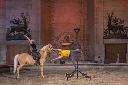 France, Oise (60), Chantilly, le chateau de Chantilly, les Grandes Ecuries, la salle des spectacles équestres sous le dome de l'ancien rendez-vous de chasse à cour, répétition d'un spectacle entre acrobate et cheval