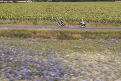 France, Maine-et-Loire (49), vallée de la Loire classée au Patrimoine Mondial par l'UNESCO, Saumur vers Saint-Hilaire, randonnée à bicyclette avec une remorque transportant le matériel de camping (vue aérienne)