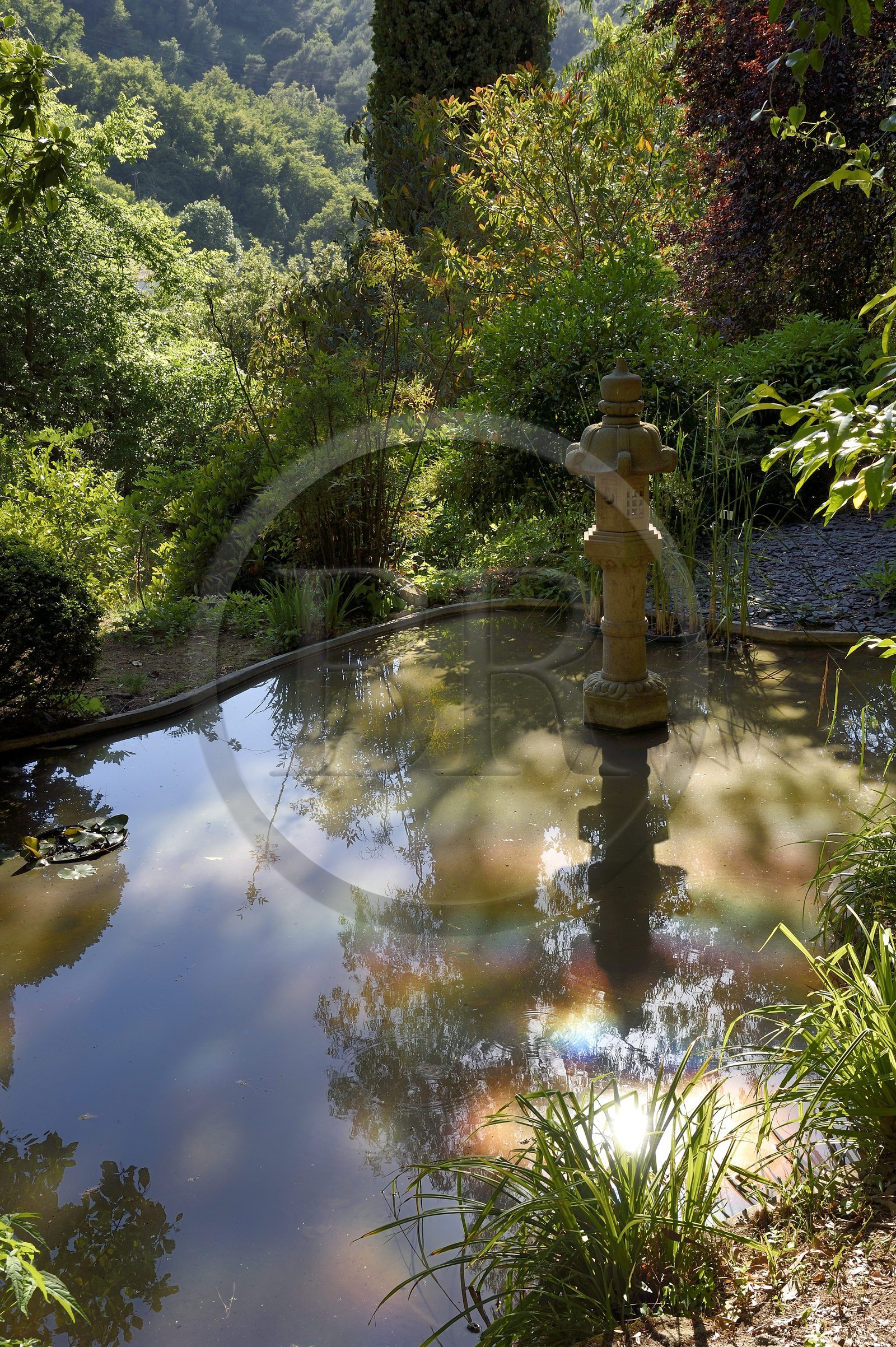 France, Alpes-Maritimes (06), Menton, Jardin Serre de la Madone, bassin