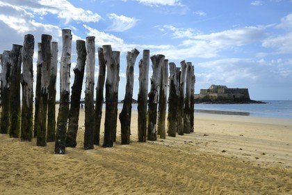 France, Ille-et-Vilaine (35), côte d'émeraude, Saint-Malo, pieux de chêne de la plage du Sillon pour protéger les remparts de l'assaut des vagues, Fort national construit par Vauban et Garangeau au XVIIème siecle