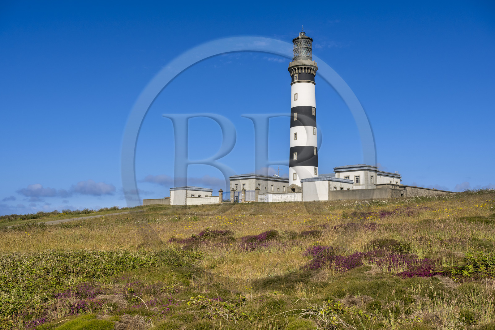 France, Finistère (29), Mer d'Iroise, Ile d'Ouessant, le phare du Créac’h et la lande
