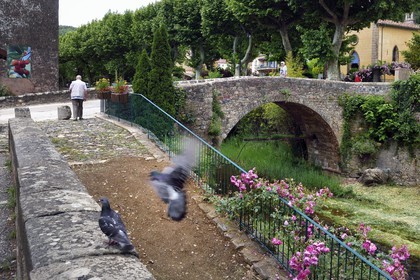 France, Var (83), Massif des Maures, Collobrières, le Pont Vieux