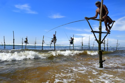 Sri Lanka, Province du Sud, région de Galle, plage de Midigama, pecheurs sur poteaux