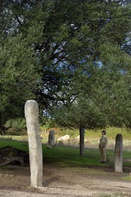 France, Corse-du-Sud (2A), site préhistorique de Filitosa, statues menhirs représentant des personnages armés