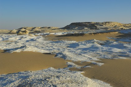 Egypte, désert libyque, le Désert Blanc au nord de Farafra