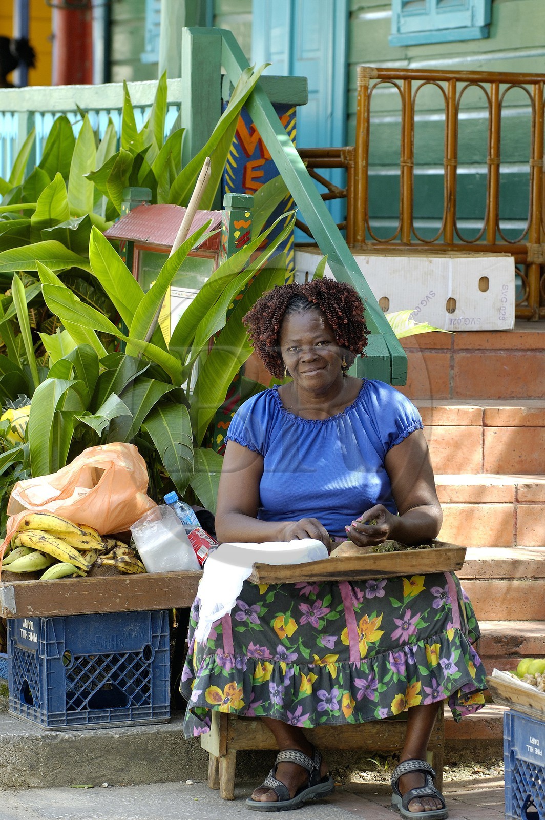 Caraïbes, Île de la Barbade, village de Mango bay vers Holetown sur la côte ouest, femme devant sa maison