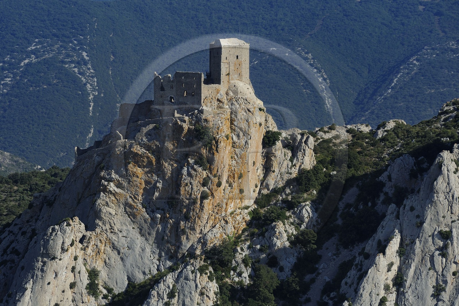 France, Aude (11), Pays Cathare, le château de Quéribus (vue aérienne)