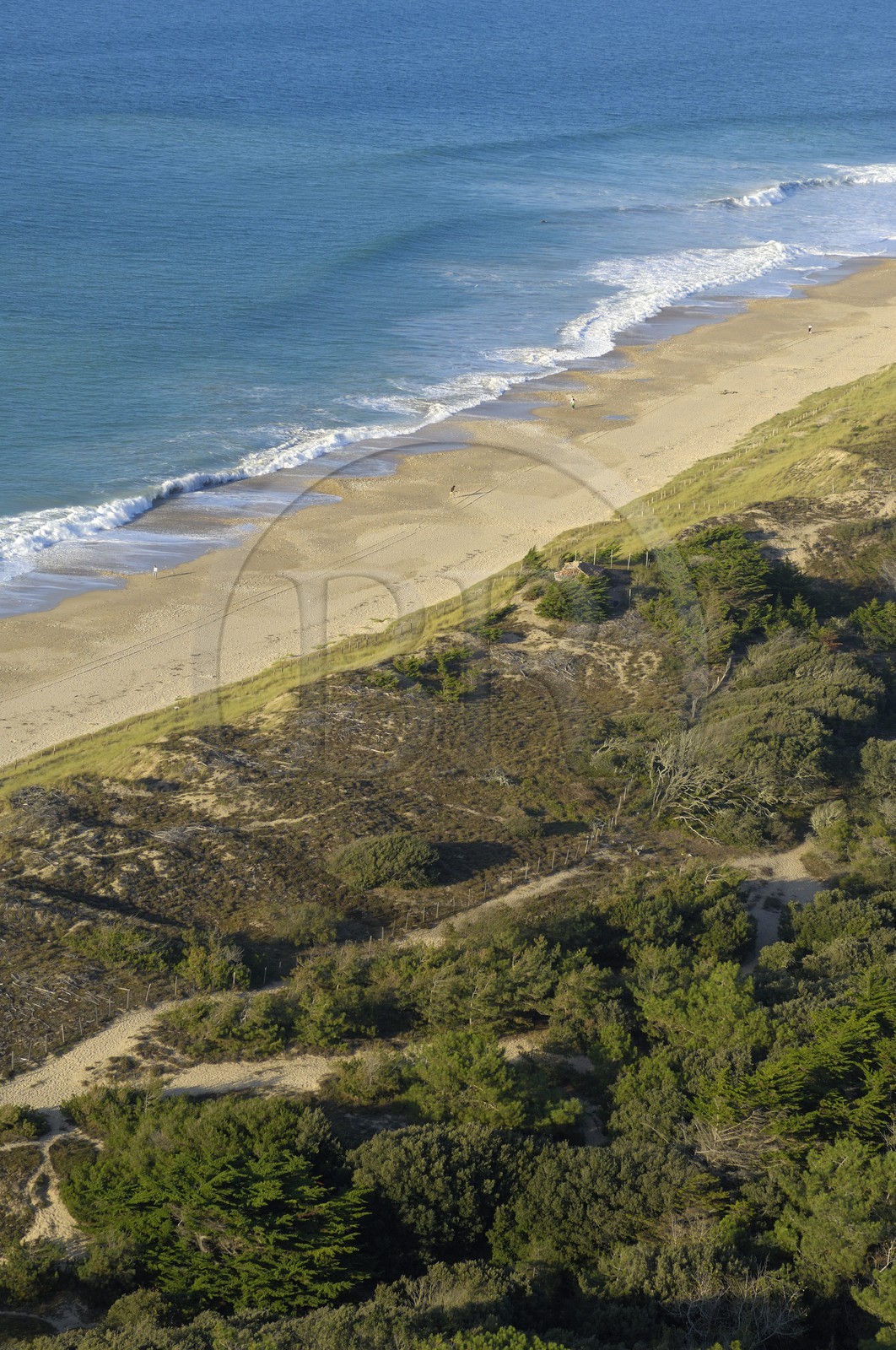 France, Charente-Maritime (17), ile de Ré, plage à la Conche des Baleines (vue aérienne)