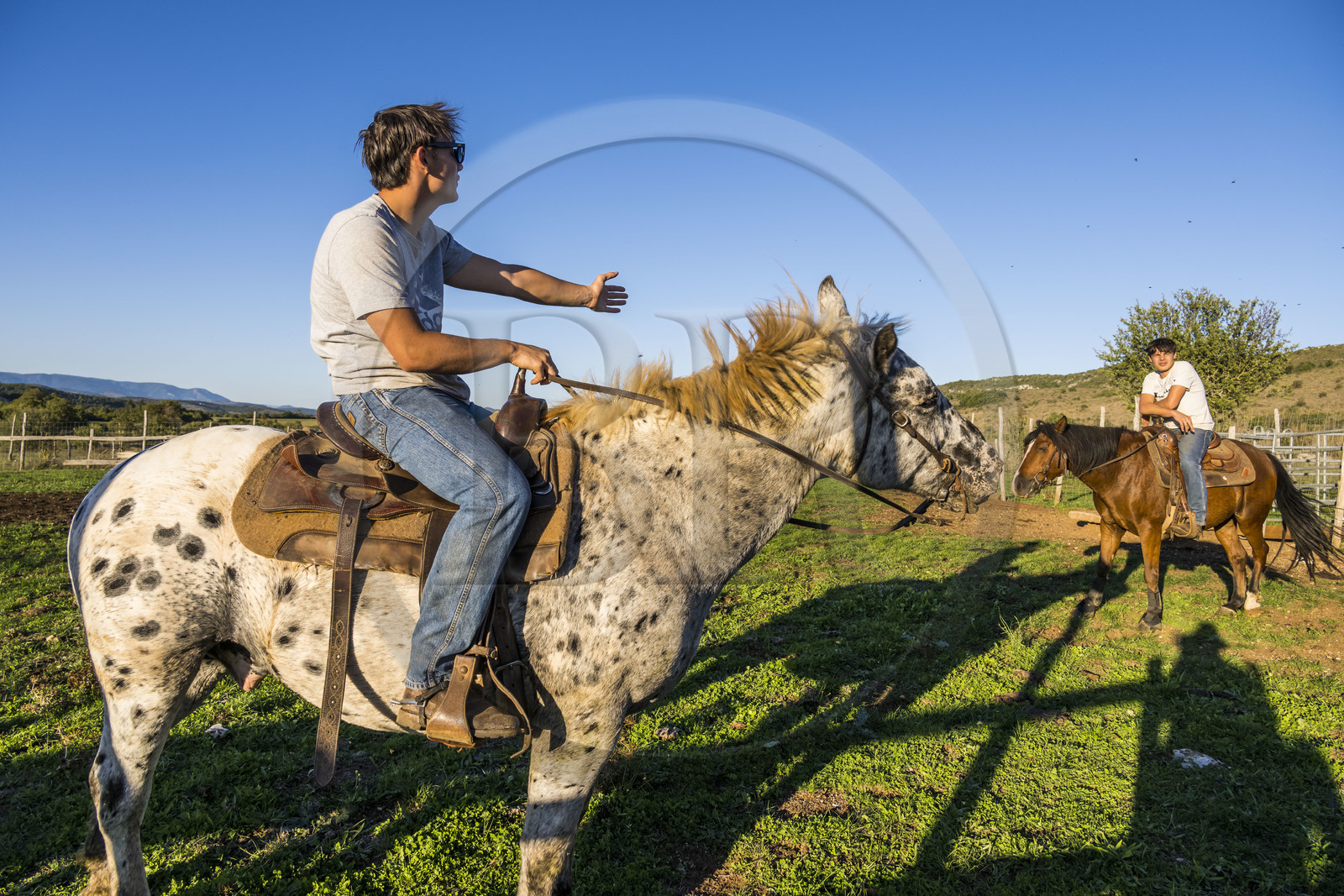 France, Hérault (34), les Causses et les Cévennes, paysage culturel de l'agro-pastoralisme méditerranéen inscrit au Patrimoine Mondial de l'UNESCO, La Vacquerie-et-Saint-Martin-de-Castries, le Mas de Cisco, Julian et son frère Charlie Amposta sur leurs chevaux