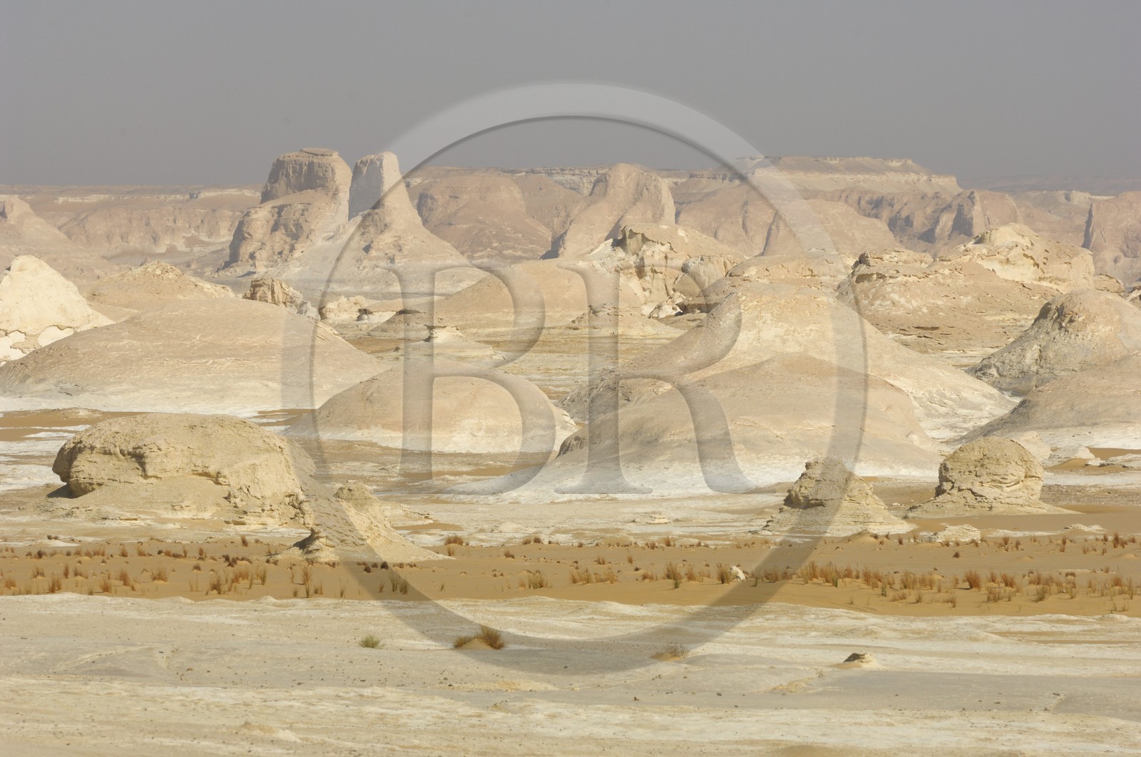 Egypte, désert libyque, le Désert Blanc au nord de Farafra