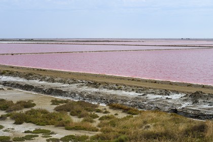 France, Bouches-du-Rhône (13), Camargue, Salin-de-Giraud, les salins du Midi