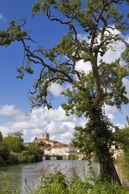 France, Charente-Maritime (17), Saintonge, Saint-Savinien, labellisé Villages de pierres et d'eau, église Saint-Savinien et maisons au bord de la Charente