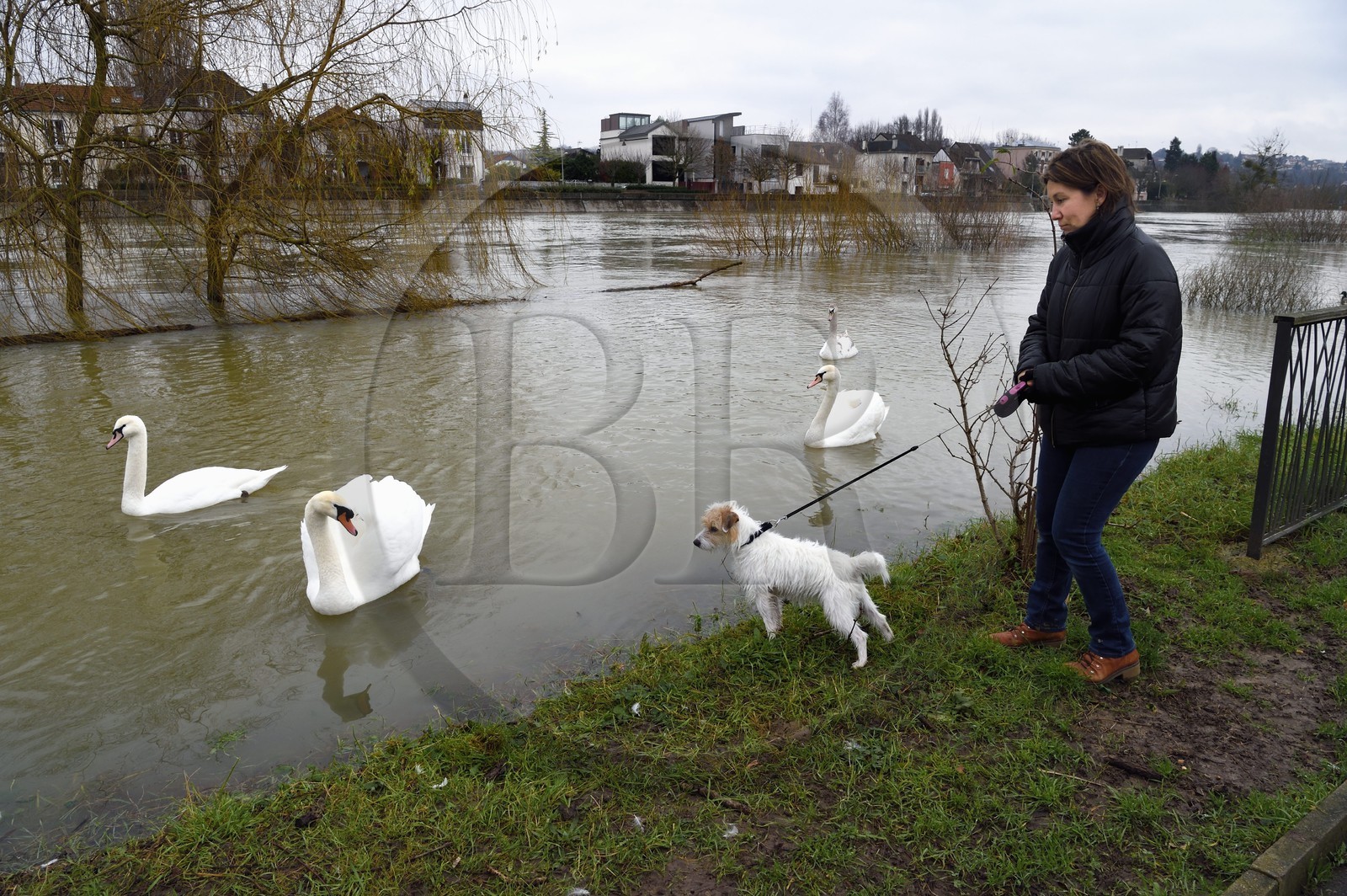 France, Val-de-Marne (94), Le Perreux-sur-Marne, les bords de Marne inondés