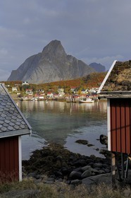 Norvège, Nordland, Iles Lofoten, ile de Moskenesoy, rorbue (maison de pêcheurs) dans le village de Reine