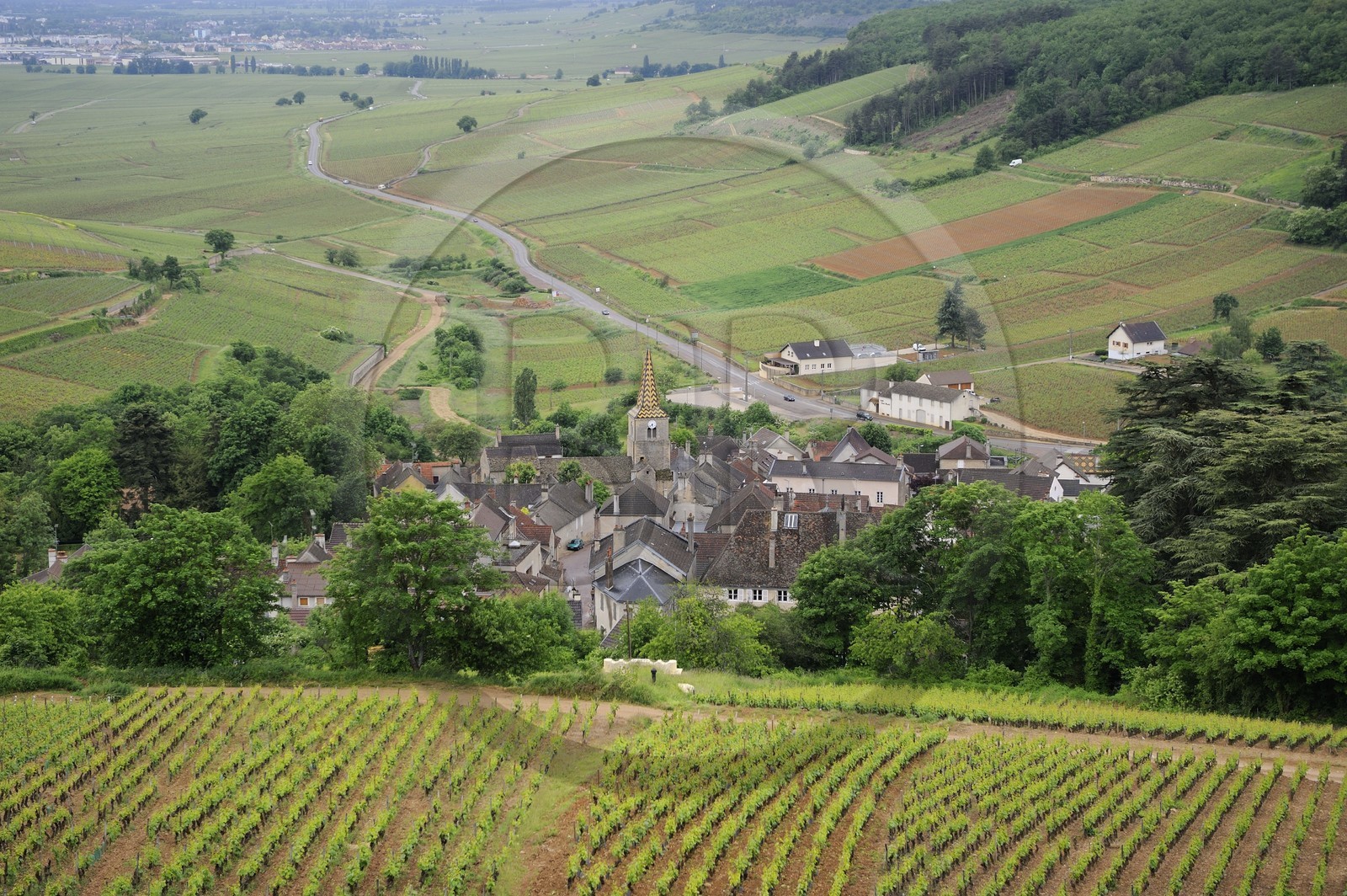 France, Côte d'Or (21), Pernand-Vergeles et la côte de Beaune
