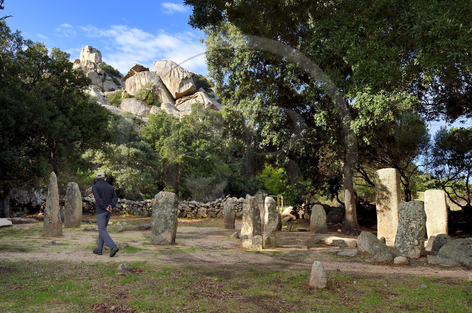 France, Corse-du-Sud (2A), Sartène, site archéologique de Cauria, alignement de Renaghju