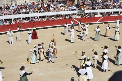 France, Bouches-du-Rhône (13), Arles, spectacle précédant la course camarguaise  de la Cocarde d'Or aux Arènes