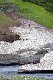 Géorgie, Kakheti, Parc national de Touchétie, vallée de la rivière Alazani dans les montagnes de Pirikiti, berger et son troupeau de moutons