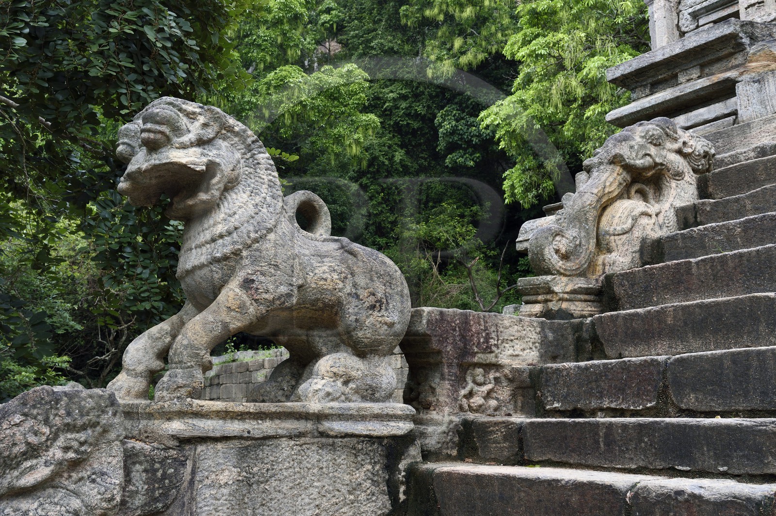 Sri Lanka, Province du Nord Ouest, le grand escalier de la forteresse de granit de Yapahuwa, éphémère capitale du pays au XIIIème siècle, la sculpture du lion