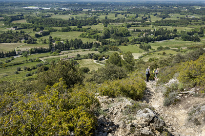 France, Vaucluse (84), Dentelles de Montmirail, Beaumes-de-Venise, randonneurs descendant du plateau des Courens et la plaine en arrière plan