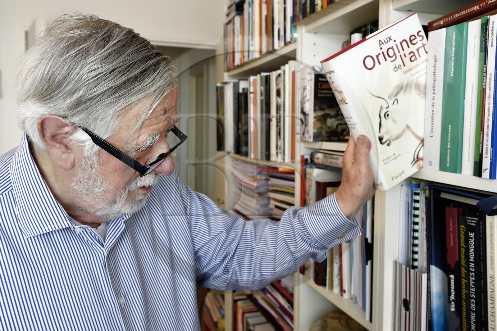 France, Paris (75), le paléontologue et paléoanthropologue Yves Coppens, professeur émérite au Collège de France, au bureau de son domicile parisien