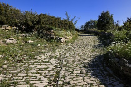 France, Hérault (34), près de Lunel, Oppidum d'Ambrussum ancien oppidum gaulois situé sur la Voie Domitienne (Via Domitia), rue pavée usées par le passage des chariots