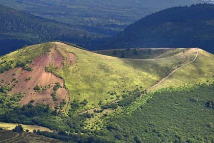 France, Puy-de-Dôme (63), Parc Naturel Régional des Volcans d'Auvergne, Chaine des Puys classée Patrimoine Mondial de l’UNESCO, le sentier et les marches menant au cratère du Puy Pariou