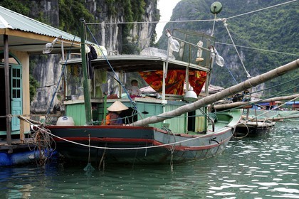 Vietnam, province de Quang Ninh, la Baie d'Halong classée Patrimoine Mondial de l'UNESCO, village flottant de pêcheurs de Vong Vieng