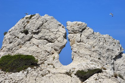 France, Bouches-du-Rhône (13), Marseille, Parc National des Calanques, Archipel des Iles du Frioul, Ile de Pomègues, la roche percée