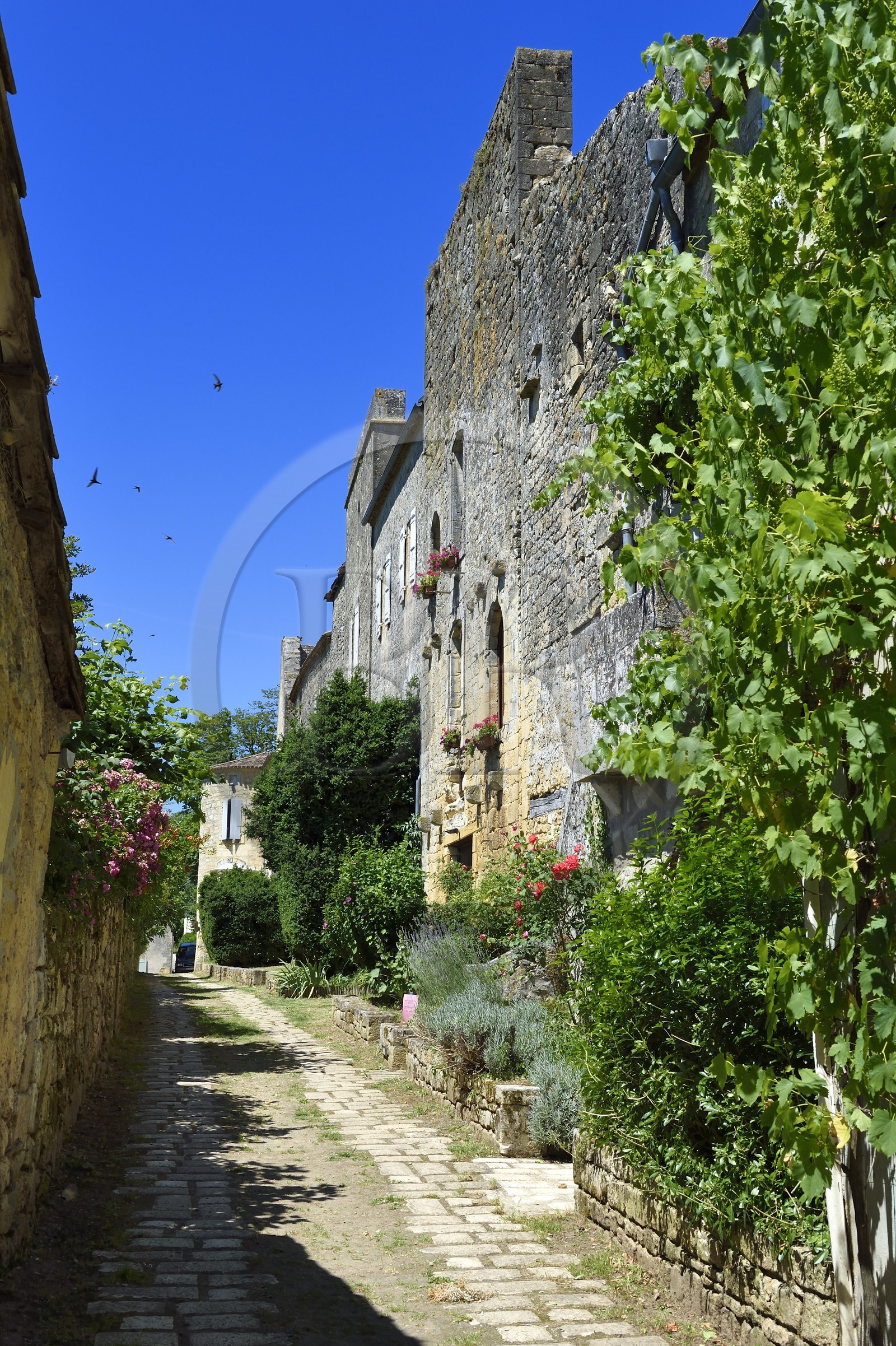 France, Dordogne (24), Périgord Pourpre, Beaumont-du-Périgord, maisons fortifiées dans l'ancienne enceinte de la bastide