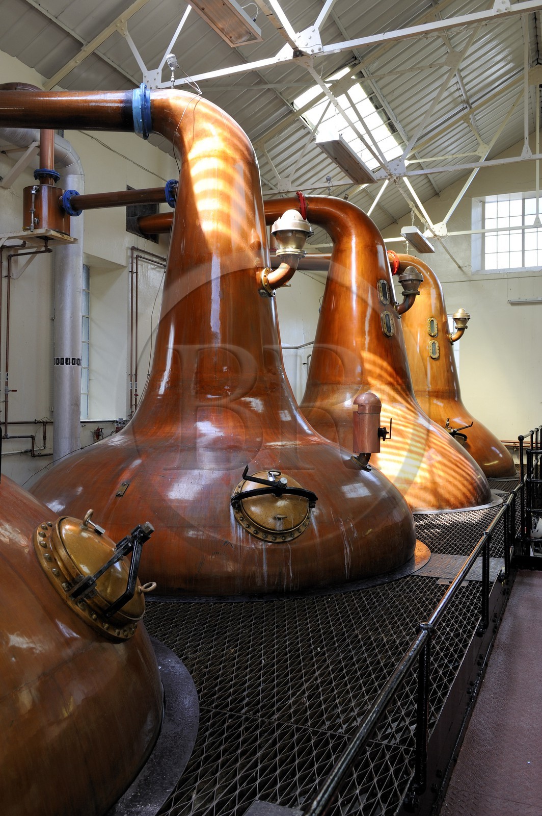 Royaume-Uni, Ecosse, Iles Orcades, Kirkwall, distillerie de whisky Highland Park, distillation du wash dans des alambics en cuivre Pot-stills