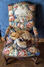 France, Paris (75), quartier du Marais, le musée de la Chasse et de la Nature dans l’hôtel de Guénégaud