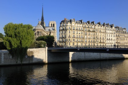France, Paris (75), les rives de la Seine, classées Patrimoine Mondial de l'UNESCO, la cathédrale Notre-Dame