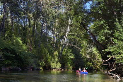 France, Var (83), Provence Verte, Vallée de l'Argens, canoë sur le fleuve Argens entre Carces et Le Thoronet