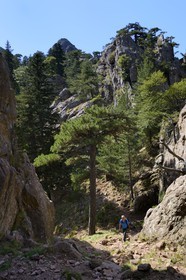 France, Corse-du-Sud (2A), Alta Rocca, randonnée dans le massif de Bavella au Punta Velacu