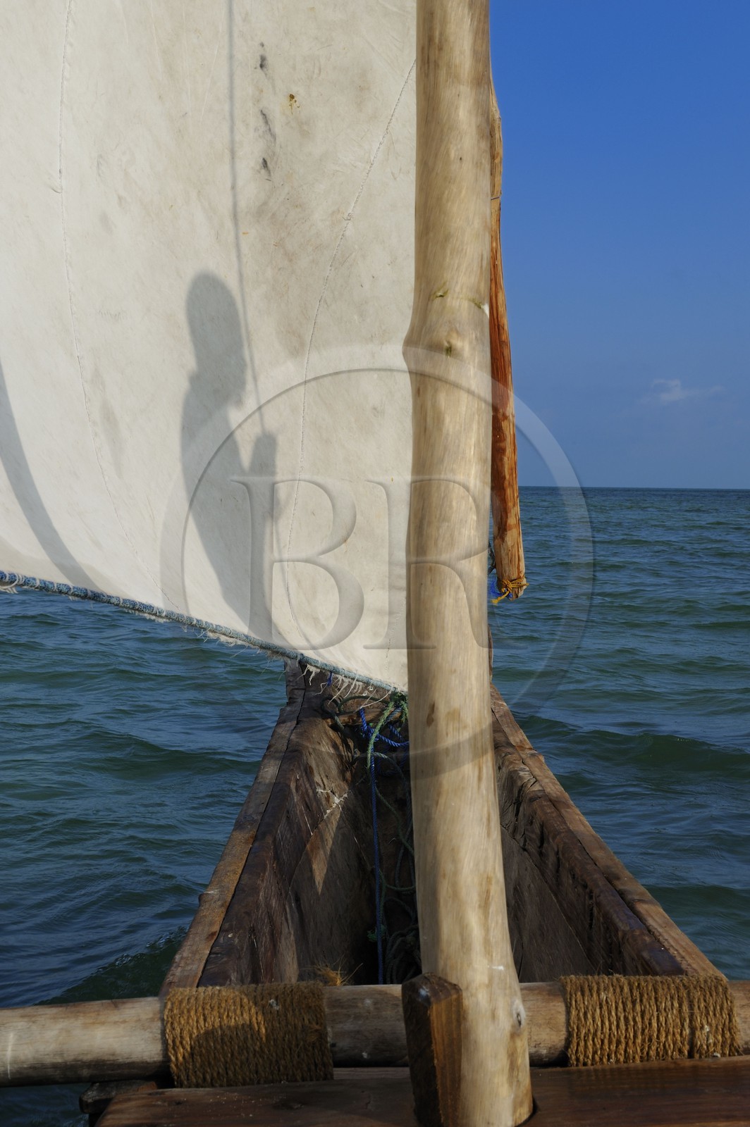 Tanzanie, archipel de Zanzibar, île de Unguja (Zanzibar), côte est, baie de Chwaka vers Michamvi, un dhow (boutre traditionnel)