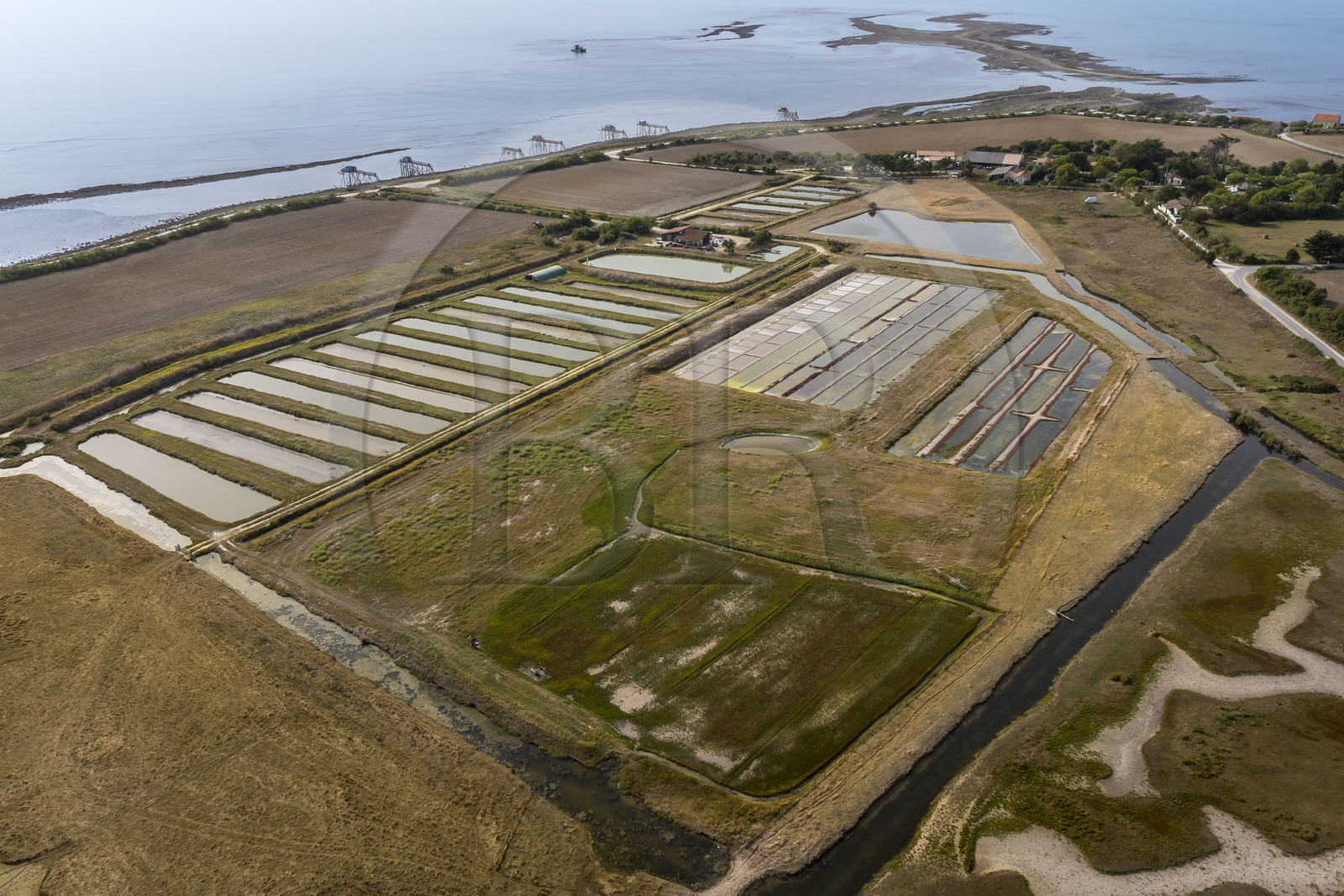 France, Charente-Maritime (17), Port-des-Barques, Ile Madame, la Ferme Aquacole de l'Ile Madame,