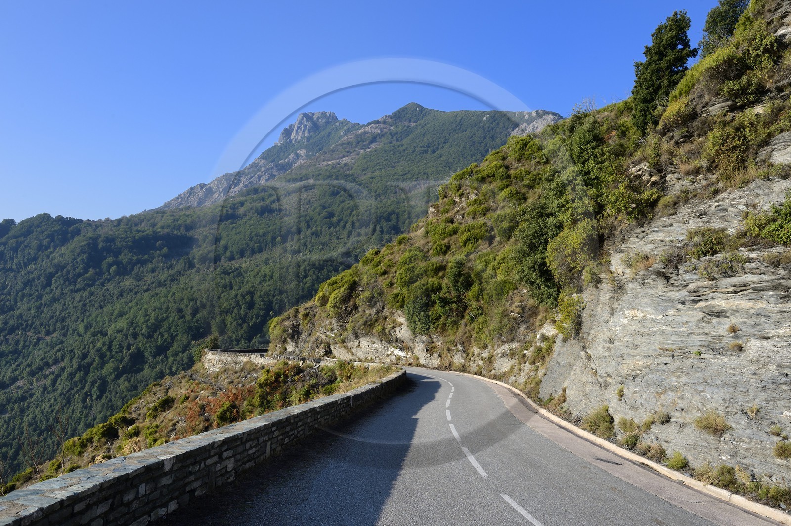 France, Haute-Corse (2B), Castagniccia, route sur les hauteurs de La Porta au pied du mont San Petrone