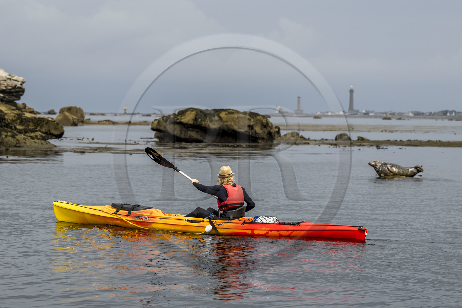 France, Finistère (29), Penmarch, archipel des Étocs, sortie en kayak du Centre nautique du Guilvinec à la découverte du phoque gris (halichoerus grypus) dans les rochers à marée basse, le phare d'Eckmuhl sur la Pointe de Penmarch en arrière plan