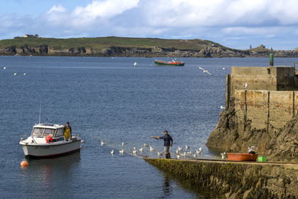 France, Finistère (29), Mer d'Iroise, Ile d'Ouessant, le port de Lampaul dans la baie de Lampaul,  la presqu'ile de Feunteun Velen en arrière plan