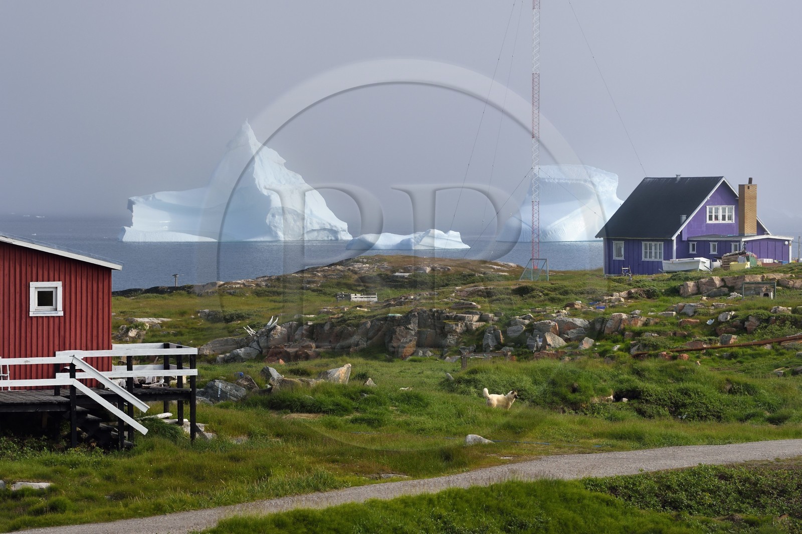 Groenland, cote ouest, Ile de Disko, maisons du village de Qeqertarsuaq et icebergs en arrière plan