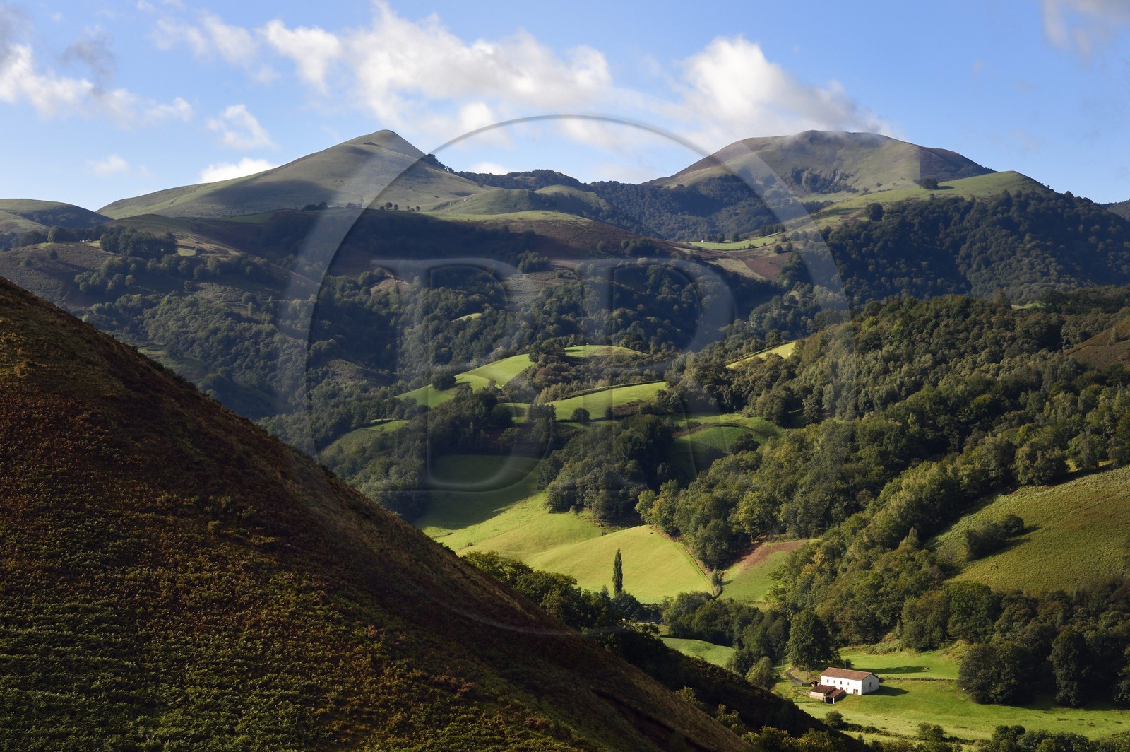 France, Pyrénées-Atlantiques (64), Pays-Basque, vallée des Aldudes, ferme et le mont Ahadi en arrière plan