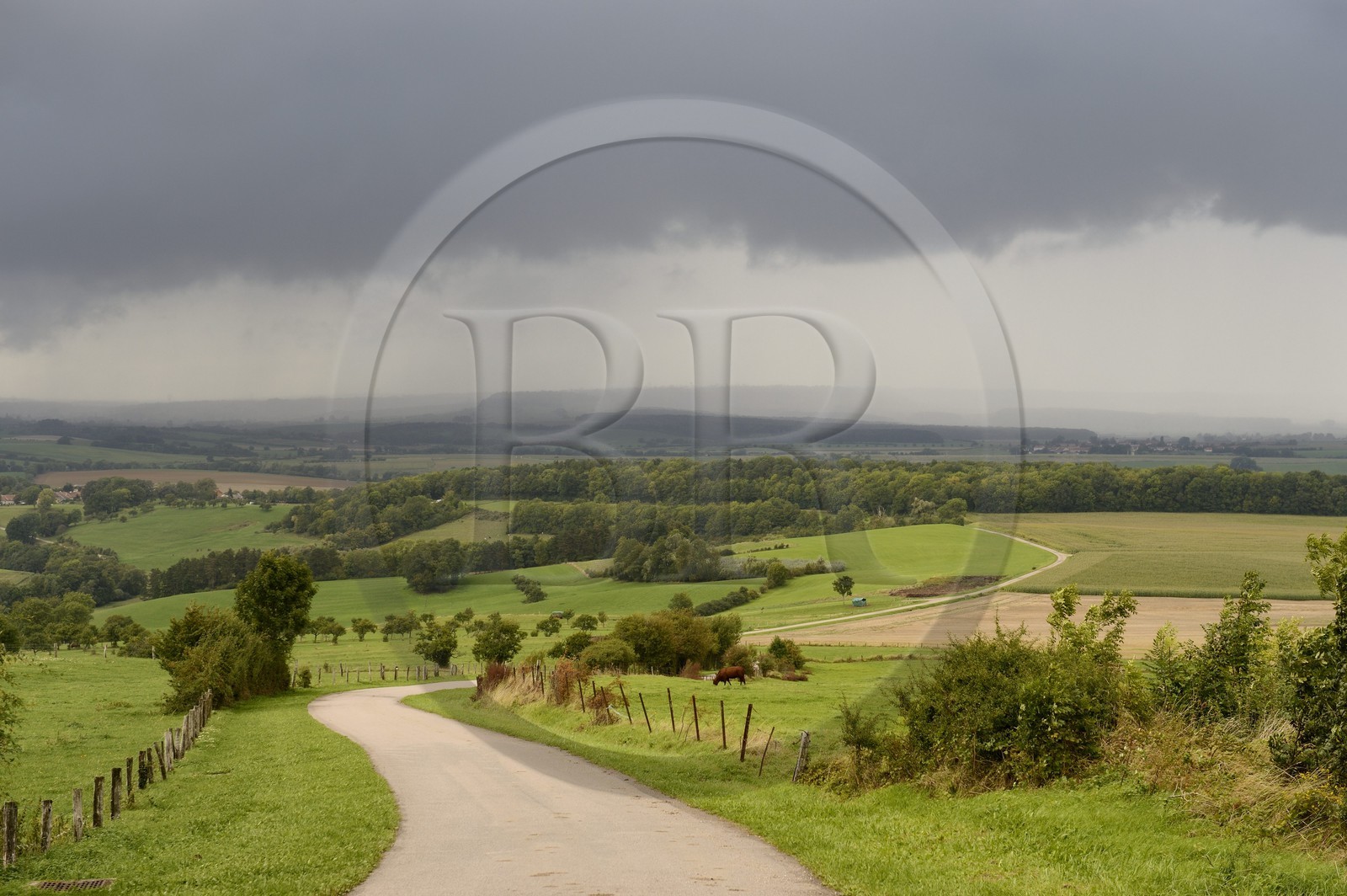 France, Meurthe-et-Moselle (54), pays du Saintois, route descendant de la colline de Sion-Vaudémont