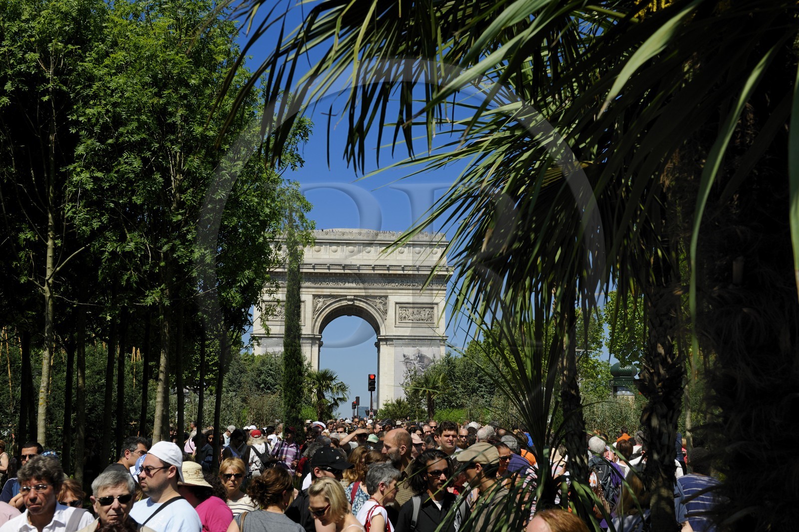 France, Paris (75), opération Nature Capitale 2010 sur les Champs-Elysées