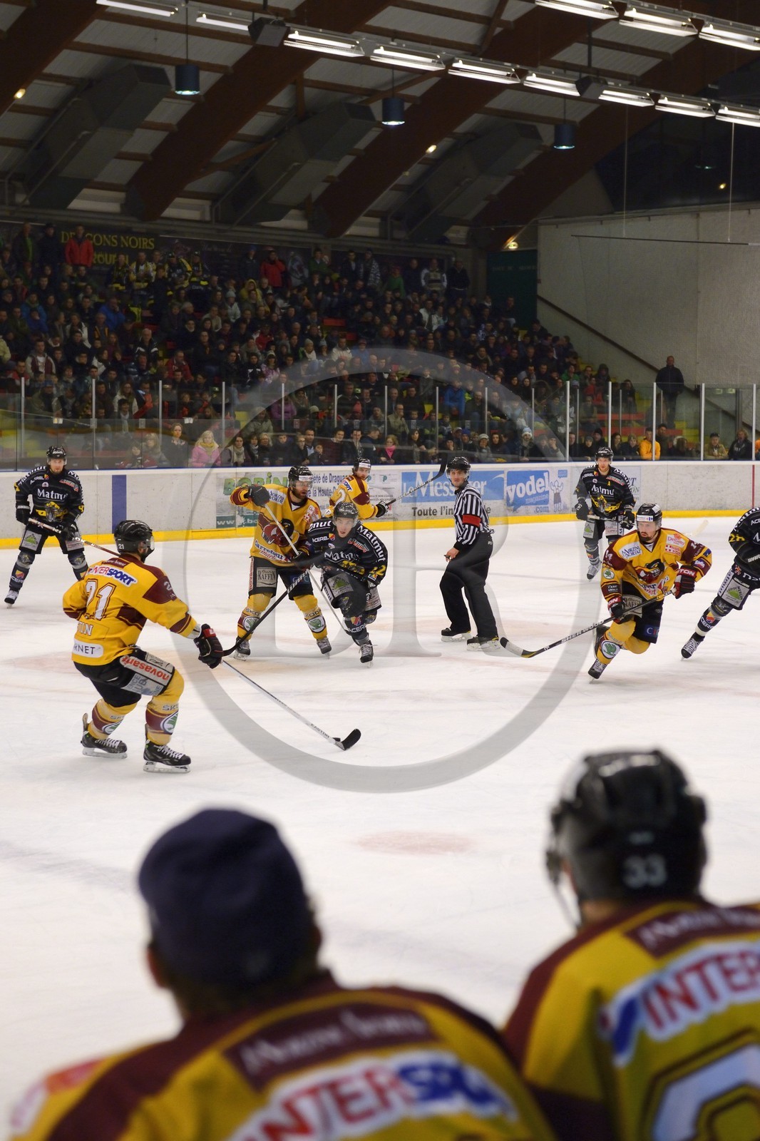 France, Haute-Savoie (74), Morzine, match de hockey sur glace du Hockey Club Morzine-Avoriaz appelé les Pingouins