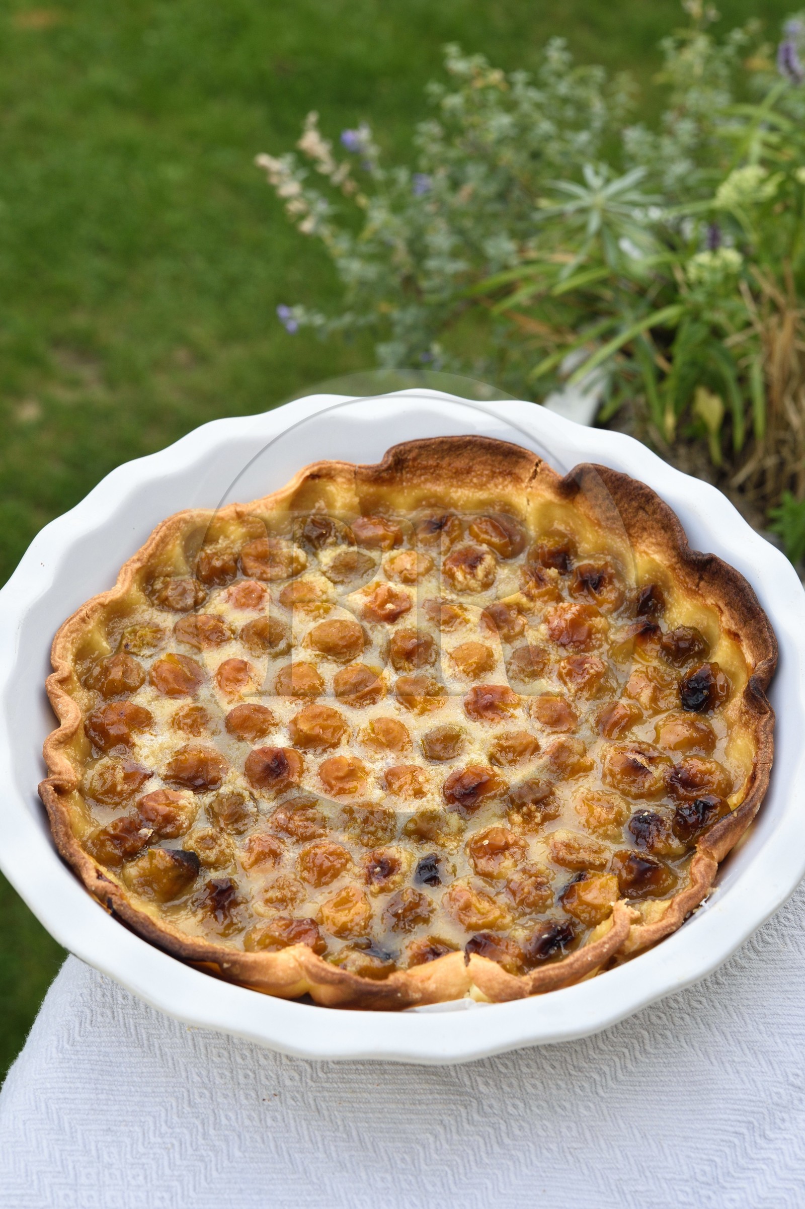 France, tarte aux mirabelles faite maison