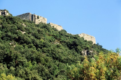 France, Aude (11), château cathare de Termes dans la forêt des Corbières