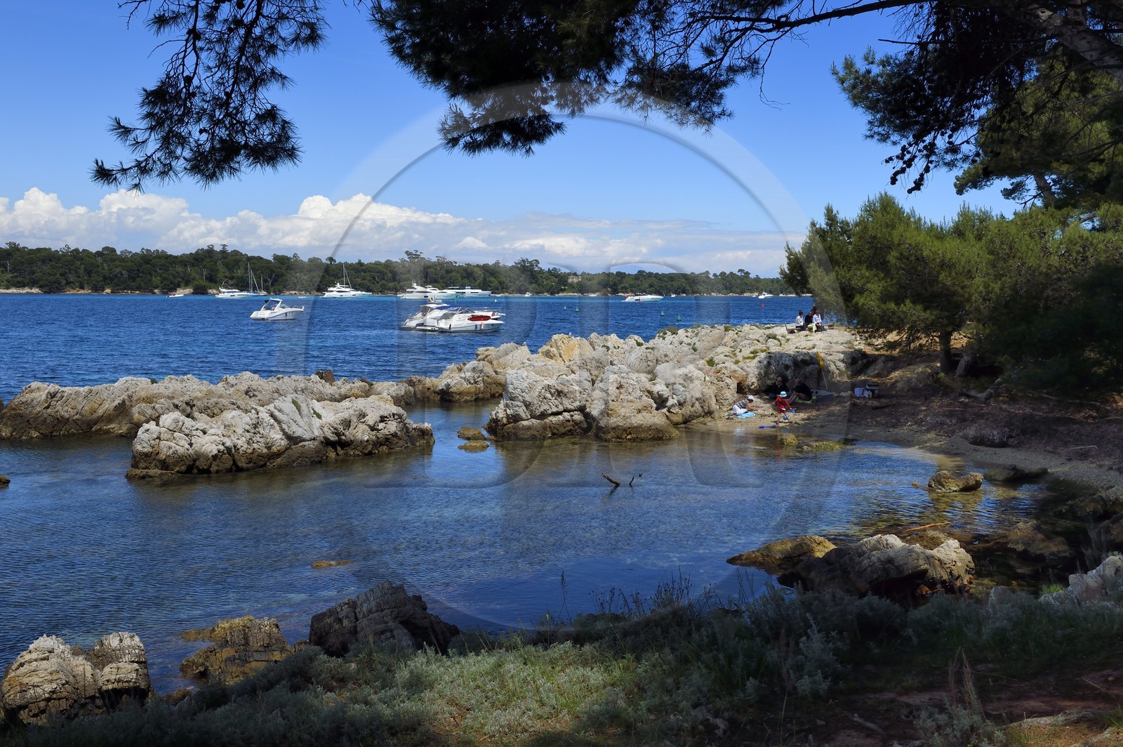 France, Alpes-Maritimes (06), Cannes, Iles de Lérins, Ile de Saint-Honorat, petite plage