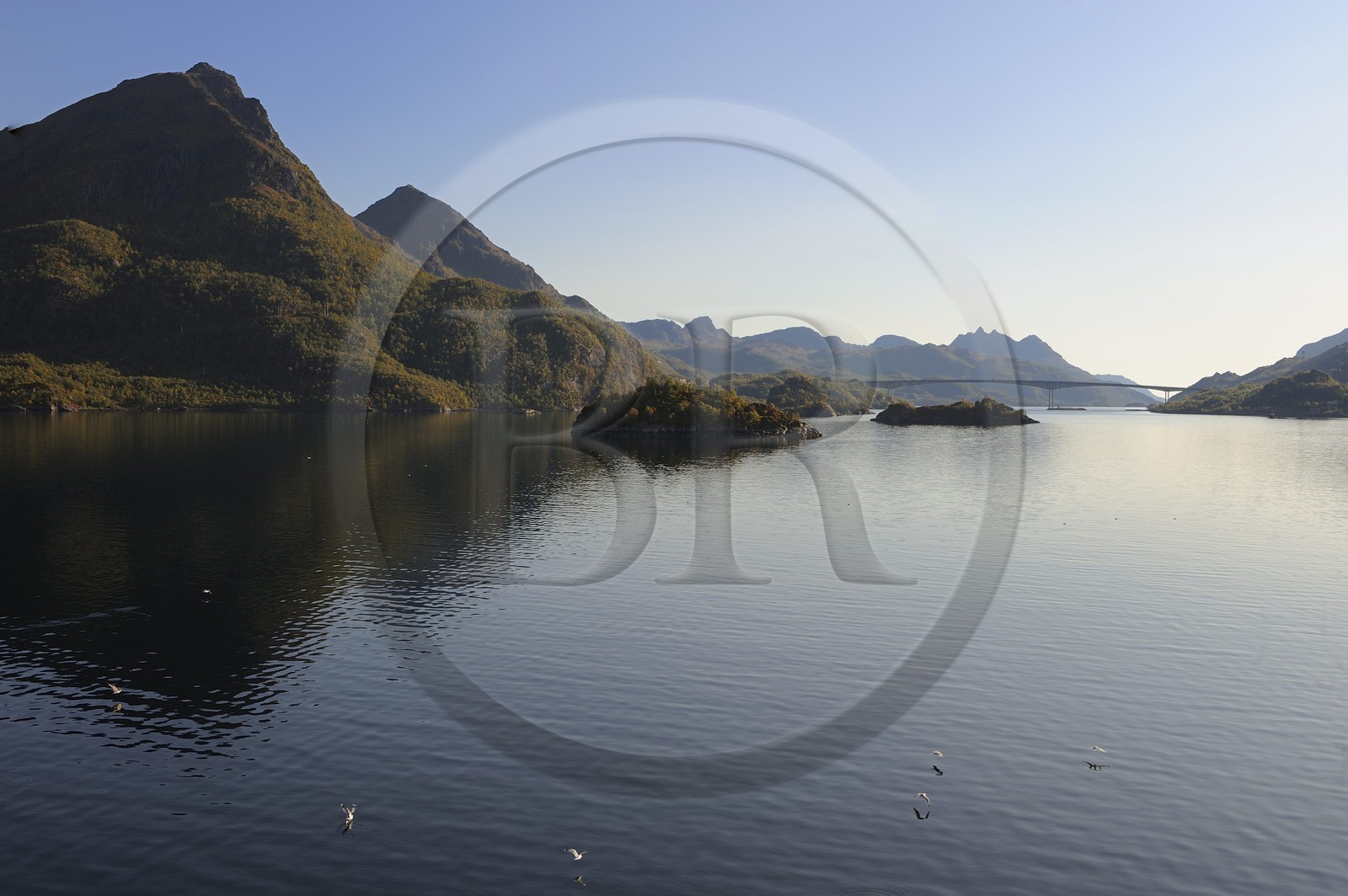 Norvège, Troms, côte sud de l'ile Hinnoya