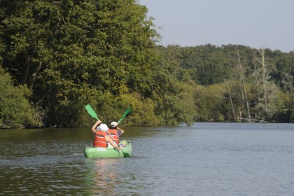 France, Loire-Atlantique (44), Nantes, kayak sur la rivière Erdre